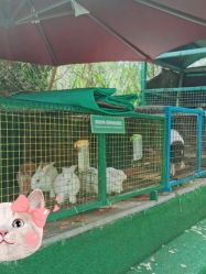 -可可天空农场(中大店)