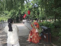 -洛阳市隋唐城遗址植物园