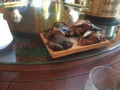 -食家鸽园