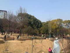 -宁波儿童公园(鄞州区)