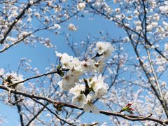 -龙美术馆西岸馆-停车场