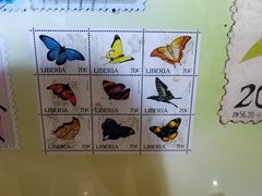 -上海昆虫博物馆