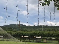 -盈香心动乐园
