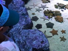 -暹罗海洋世界