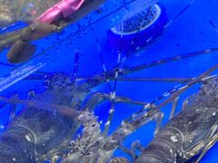 -永辉超市(嘉定宝龙广场店)