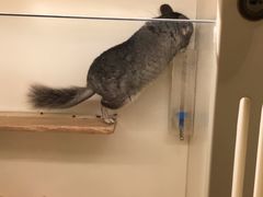 -龙猫仔乐园(惠福东路店)