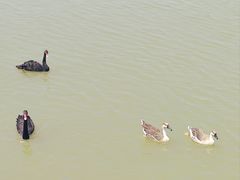 -艾溪湖湿地公园