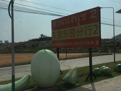 -东芭乐园