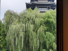 -济南大明湖景区