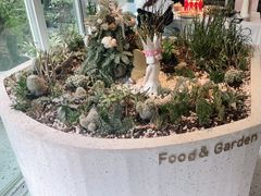 -春树下·树屋花房西餐厅(罍街AS1980店)