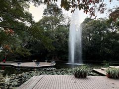 -九龙公园