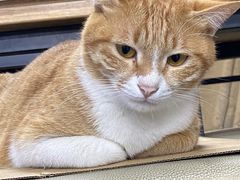 -蓝天射箭馆·专业射箭运动(诚丰广场店)