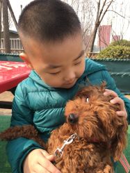 -萌宠亲子动物乐园(槐房万达店)