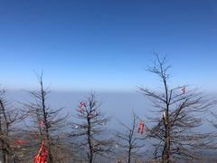 -南岳衡山风景名胜区