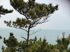 -摩天岭风景区