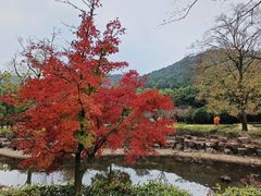 -穹窿山景区