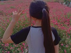 -松山湖梦幻百花洲
