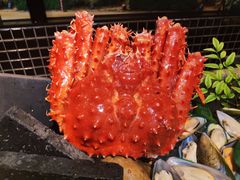 -盛宴自助餐厅(运达喜来登店)
