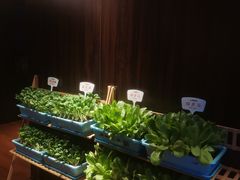 -真爱中国餐馆·年华店(朱雀大街店)