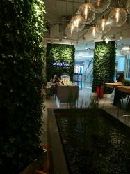 -悦诗风吟innisfree