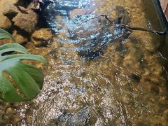 -邈墨茶馆(凤起路店)