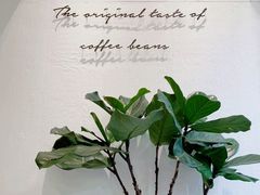 -red donkey coffee