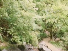 -藏龙百瀑风景区