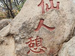-遵化市禅林寺古银杏风景园