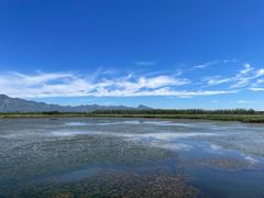-野鸭湖国家湿地公园