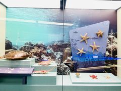 -上海中国航海博物馆