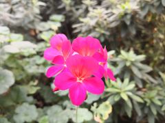 -长春农博园