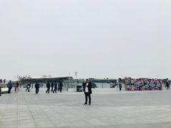 -野狸岛