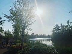 -白鹭湾湿地公园