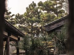-爱新觉罗皇家博物院