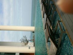 -芽庄喜来登水疗酒店