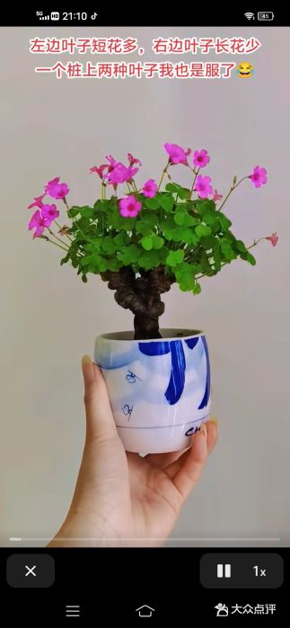 儒宴江南菜·新淮扬菜·烤鸭(总部基地丰体店)图片