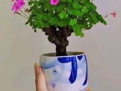 -儒宴江南菜·新淮扬菜·烤鸭(总部基地丰体店)