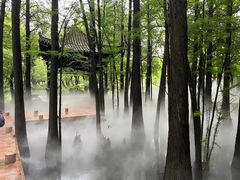 -东湖落雁景区