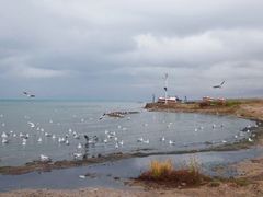 -青海湖国家重点风景名胜区