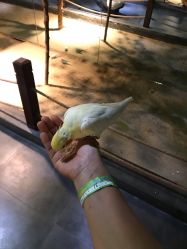 -酷嗒动物文化乐园(cutezoo西溪乐天城店)