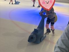-TheRink大零溜冰场(IFS国金中心店)
