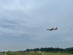 -空港花田景区