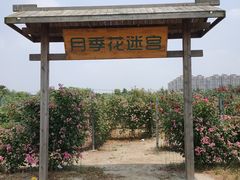 -江天生态园餐厅