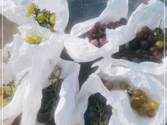 -美家乐农庄·露营·团建(大治路店)