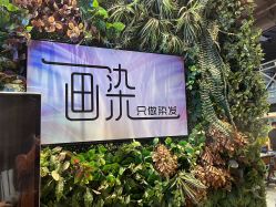 -T.1 hair salon烫染接发