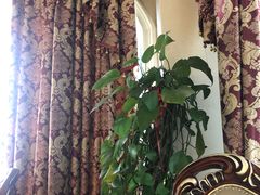 -维也纳国际酒店·上海虹桥火车站国家会展中心店