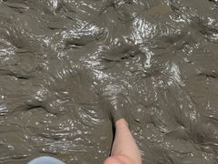 -启东黄金海滩景区