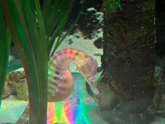 -沈阳海洋探索中心