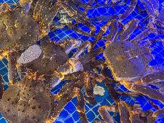 -驻海渔市(置信店)