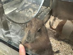 -瑞虹新天地月亮湾